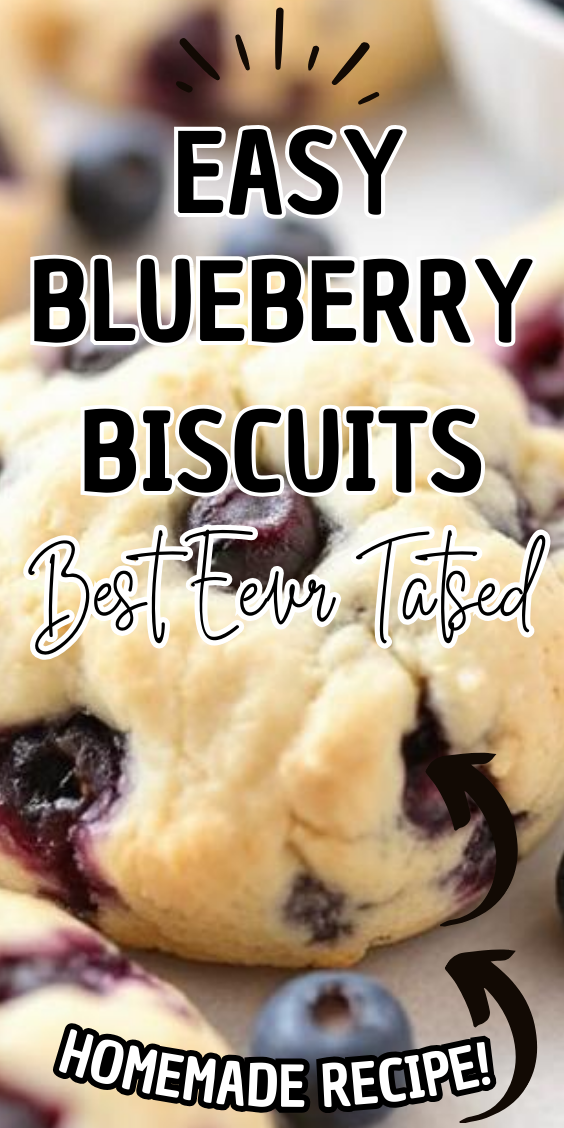 Easy Blueberry Biscuits