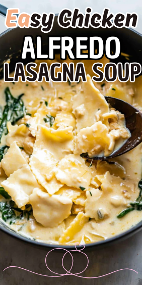 Easy Chicken Alfredo Lasagna Soup