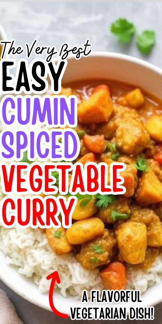 Easy Cumin Spiced Vegetable Curry