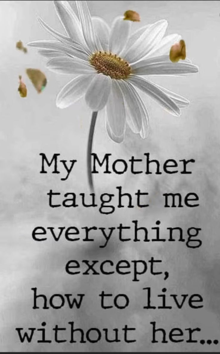 My Mother Taught me everything except how to live without her…