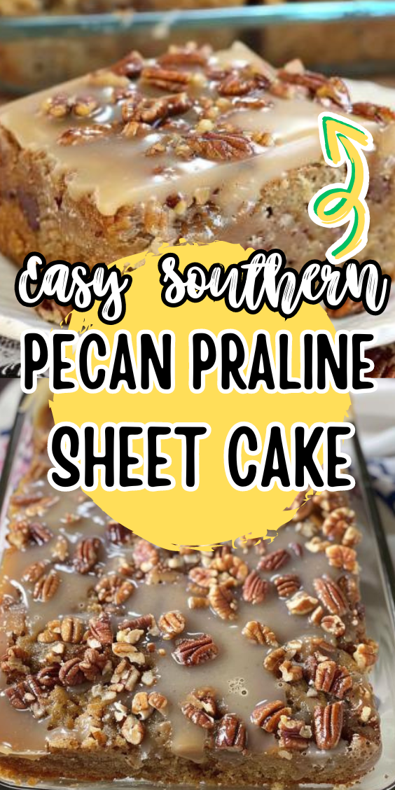 Easy Southern Pecan Praline Sheet Cake