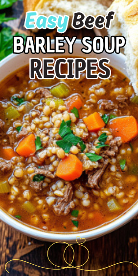 Easy Beef Barley Soup