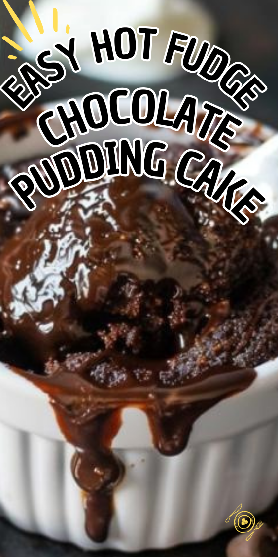 Easy Hot Fudge Chocolate Pudding Cake