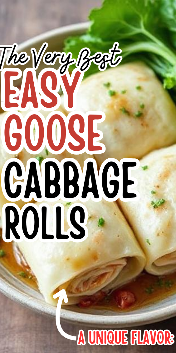 Easy Goose Cabbage Rolls