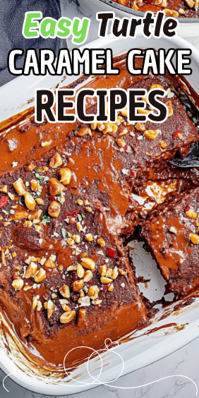 Easy Turtle Caramel Cake