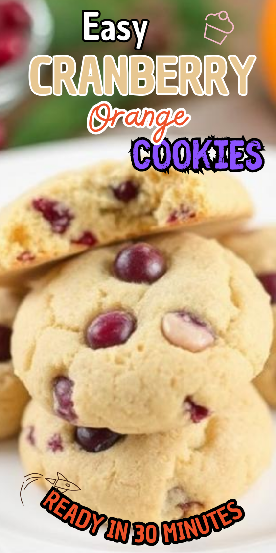 Easy Cranberry Orange Cookies