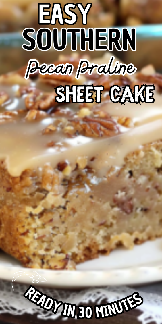 Easy Southern Pecan Praline Sheet Cake