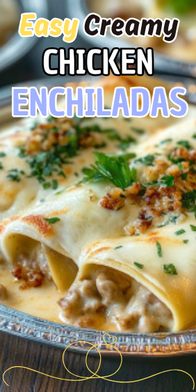 Easy Creamy Chicken Enchiladas
