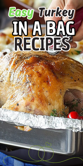 Easy Turkey in a Bag