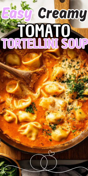 Easy Creamy Tomato Tortellini Soup