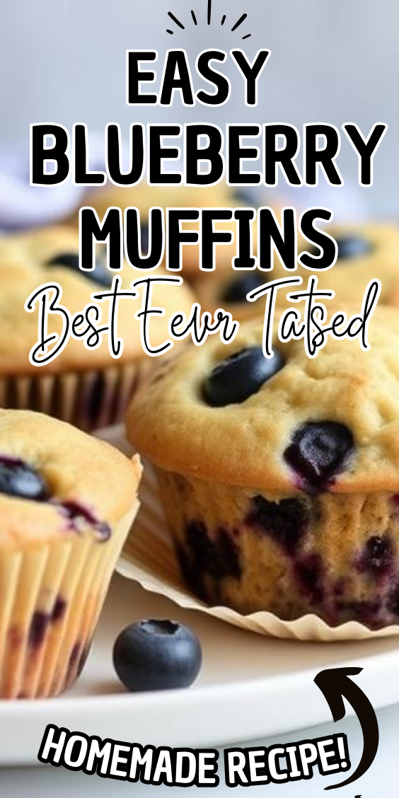 Easy Blueberry Muffins