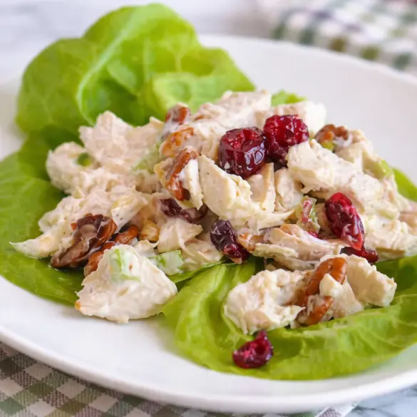 Cranberry Pecan Chicken Salad with chicken, cranberries, and pecans in a bowl.