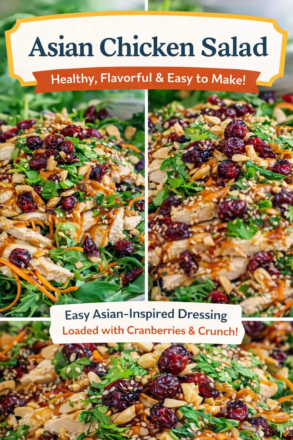 Asian Chicken Cranberry Salad
