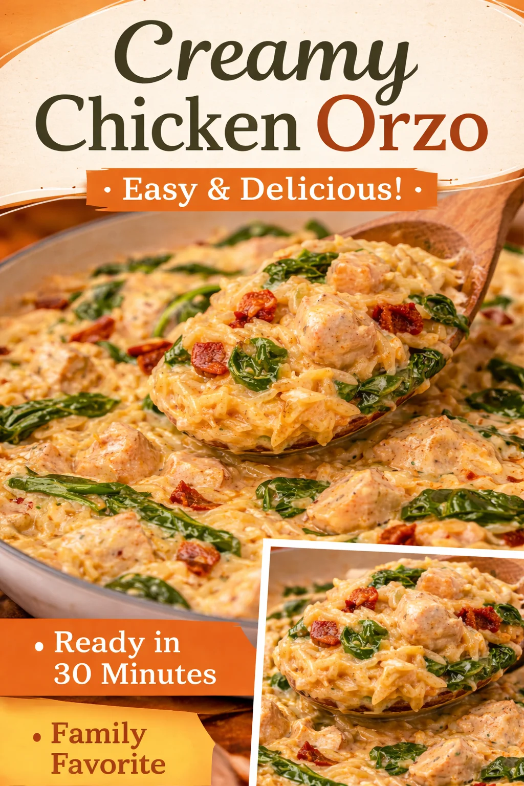 CREAMY PARMASAN CHICKEN ORZO