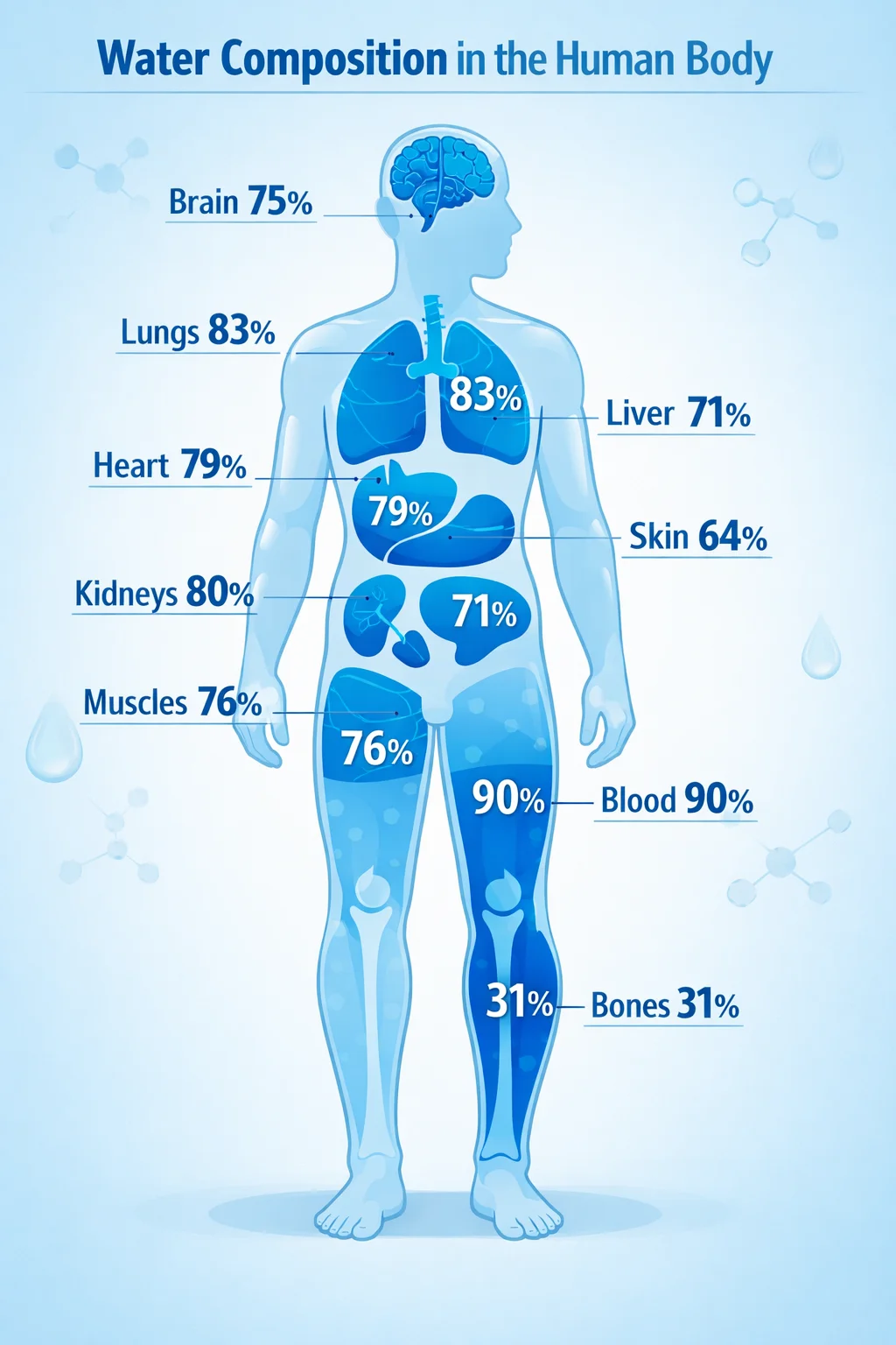 How Drinking Water on an Empty Stomach Benefits Your Body
